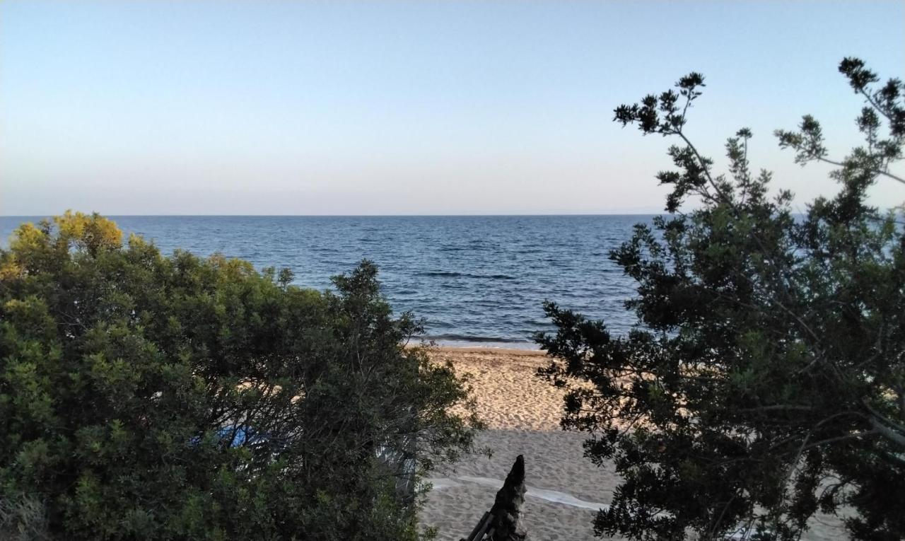 Elia By The Sea Holiday home Psakoudia