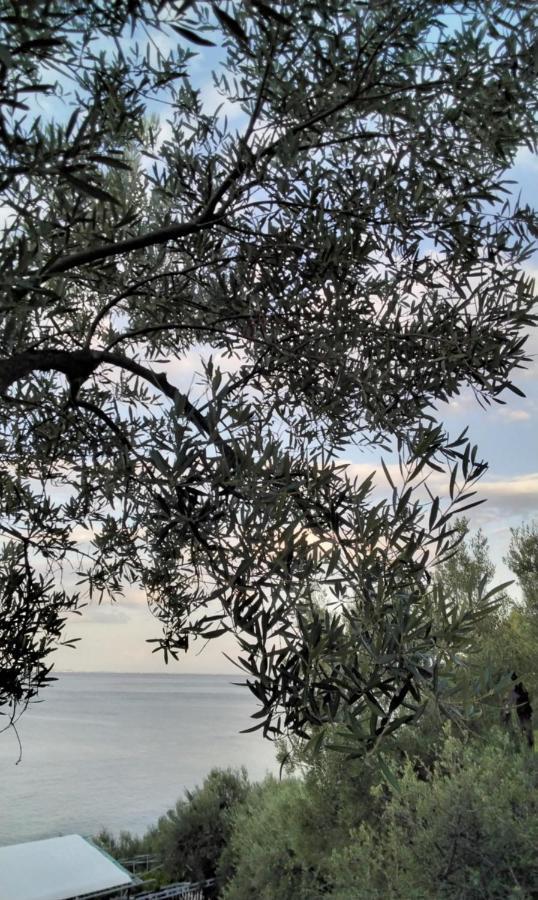 Holiday home Elia By The Sea Psakoudia