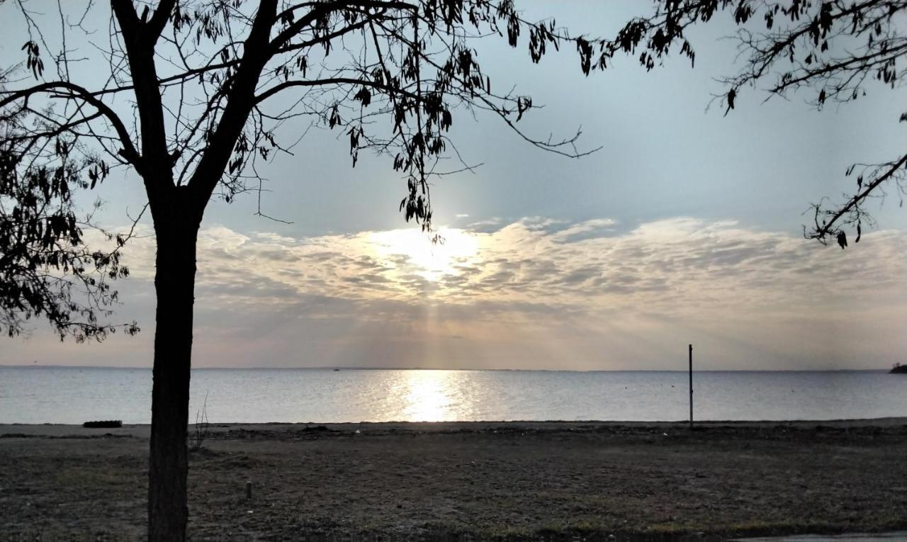 Elia By The Sea