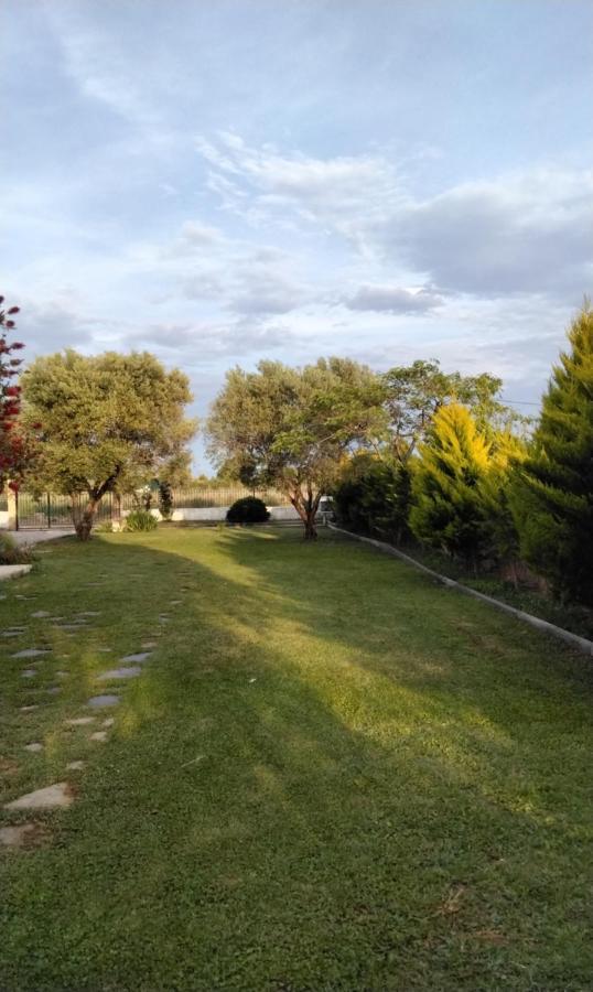 Holiday home Elia By The Sea *